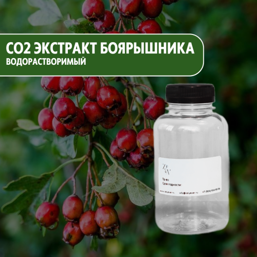 СО2 экстракт Боярышника водорастворимый купить